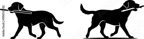 Two black silhouettes of labrador retriever dogs walking while carrying a wooden stick in mouth
