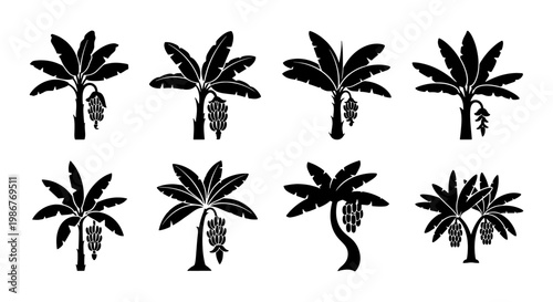 Tropical banana tree silhouettes, set of 8 black palm plant icons, exotic fruit tree vector illustrations for summer travel and nature design
