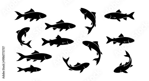 Black fish silhouettes set, 12 aquatic animal vector icons, minimalist river fish shapes for fishing logos and marine design