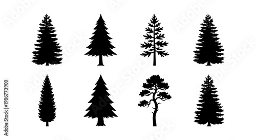 Pine tree silhouette collection, set of 8 conifer evergreen tree vectors, black spruce and fir forest elements on white background