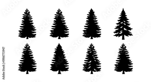 Pine tree silhouette collection, set of 8 evergreen conifer vectors, black spruce and fir tree icons for forest landscape design and winter decor