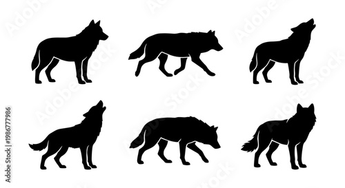 Black wolf silhouette collection, set of 6 wild animal vector icons, howling and walking timber wolf shapes, predatory canine wildlife graphics