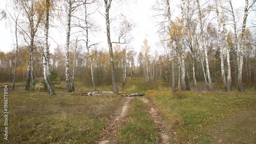 A person walks along a dirt path in a forest with bare trees and autumn leaves. The weather is cloudy and cool.