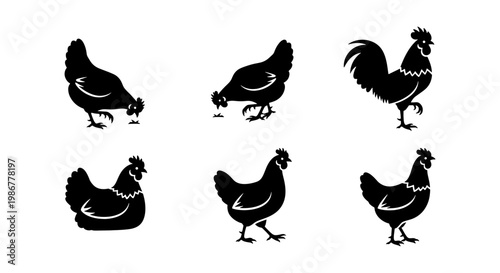 Black chicken silhouette vector set, rustic farm poultry icons, 6 hen and rooster silhouettes for organic food branding and butcher shop logos