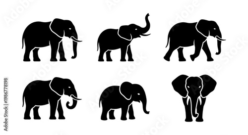 Elephant silhouette vector set, 6 black african elephant icons in various poses, wild animal silhouettes for safari and nature conservation branding