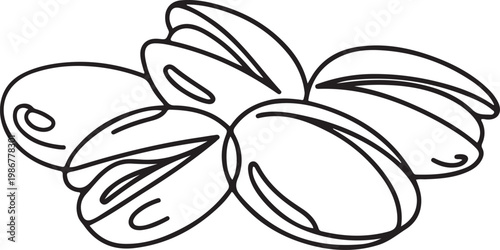 Tasty Pistachio Drawing, Organic pistachios in the sun, Healthy food. one line Icon drawing