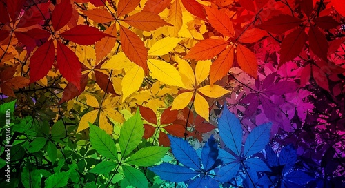 Bright Multicolor Tree Leaves Texture Natural Abstract Wallpaper