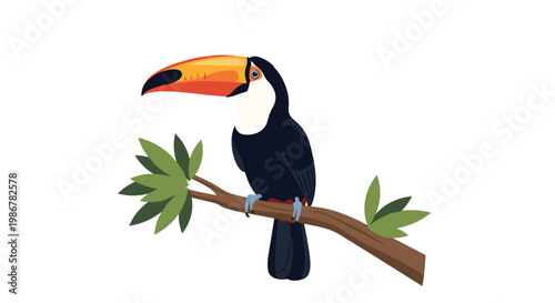 Tropical toucan with a large orange beak perched calmly on a tree branch against a clean white background for design.