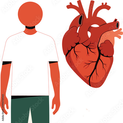 Heart health illustration, human figure with anatomical heart showing arteries veins and chambers minimalist medical design warm background