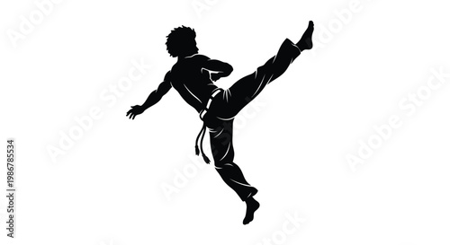 Silhouette of a martial artist executing a dynamic kick in mid air