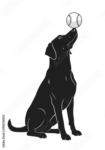 Silhouette of a Black Labrador Retriever Dog Balancing a Tennis Ball on Its Nose Isolated on transparent background