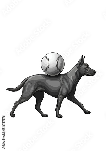 Illustration of a Belgian Malinois dog balancing a baseball on its back Isolated on transparent background