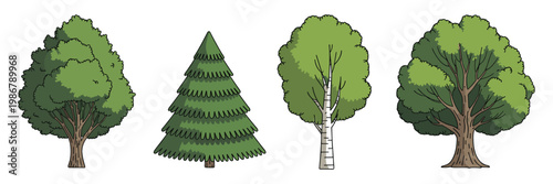 Set of four hand drawn cartoon style trees including a deciduous oak a coniferous pine a slender birch and a broad leafy tree with brown trunks and green foliage isolated on white background