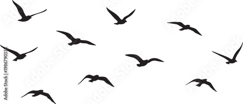 A collection of wild birds silhouettes in flight featuring black animal shapes and wings vector illustration set for nature and wildlife design