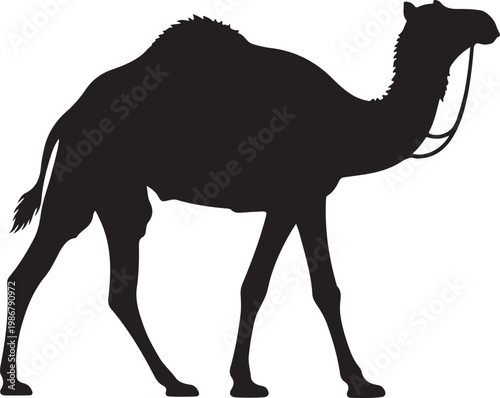 Camel Silhouette Walking in Desert Dunes, Minimal Wildlife Desert Animal Vector Illustration