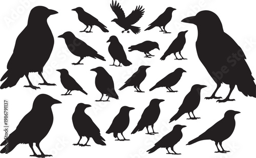 A professional photographer captures a high-resolution close-up of a diverse creative team collaborating on a digital interface in a bright modern office