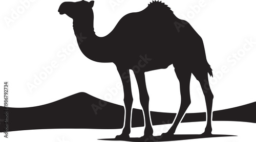 Camel Silhouette Walking in Desert Dunes, Minimal Wildlife Desert Animal Vector Illustration