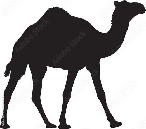 Camel Silhouette Walking in Desert Dunes, Minimal Wildlife Desert Animal Vector Illustration