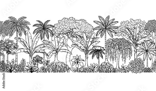 Vintage Jungle Border Seamless Pattern Palm Banana Trees Botanical Vector