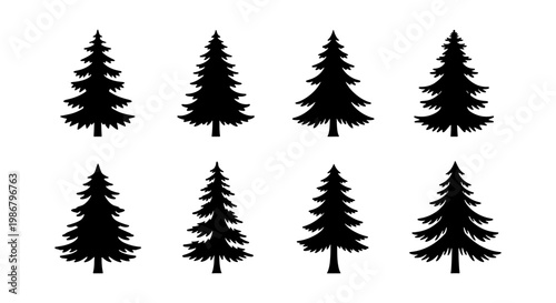 Black pine tree silhouettes, set of 8 conifer vector icons, minimalist evergreen forest elements for winter landscape design and outdoor logos