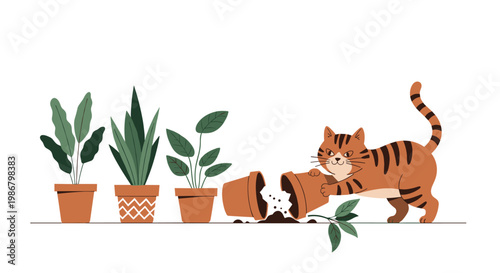 Mischievous ginger tabby cat knocks over a terracotta flower pot while other healthy houseplants remain in a row.