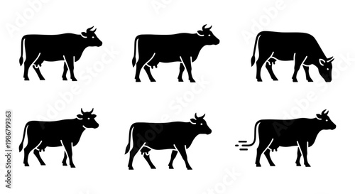 Black cow silhouette icons set, 6 dairy cattle vector illustrations in various poses, farm animal livestock graphics for agriculture branding
