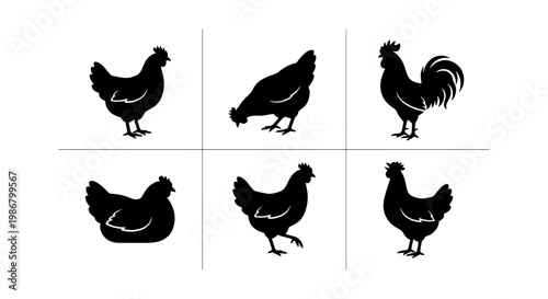 Black chicken silhouette collection, set of 6 poultry bird icons, farm animal rooster and hen silhouettes, minimalist livestock vector graphics