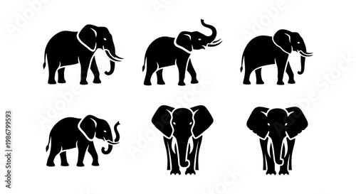 Elephant silhouette vector set, black african elephant icons in various poses, 6 wild animal graphics for nature conservation and safari branding