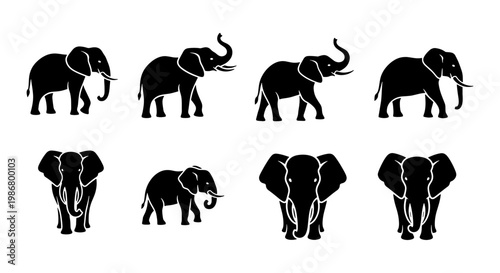 Elephant silhouette vector set, black african elephant icons in various poses, 8 wild animal graphics for safari branding and nature design