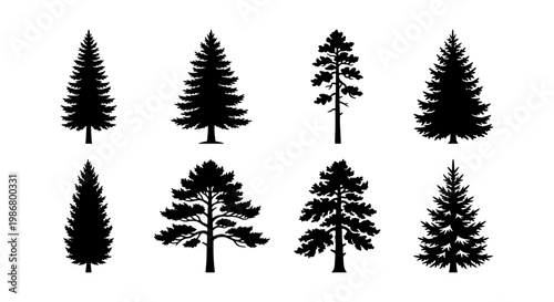 Coniferous tree silhouette collection, 8 evergreen pine and spruce vector elements, black forest fir tree icons for outdoor landscape design