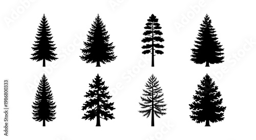 Pine tree silhouette collection, set of 8 evergreen conifer vector icons, black spruce and fir forest elements for nature landscape design