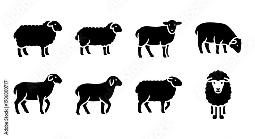 Black sheep silhouette icons set, minimalist farm animal vector graphics, 8 sheep silhouettes in various poses, livestock flat design elements