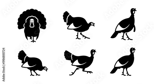 Wild turkey silhouette set, 6 black bird icons for Thanksgiving and autumn design, farm animal vector collection for hunting and nature graphics