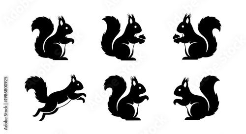 Squirrel silhouette vector icons set, black squirrel animal shapes in various poses, collection of 6 forest wildlife rodent graphics for logos