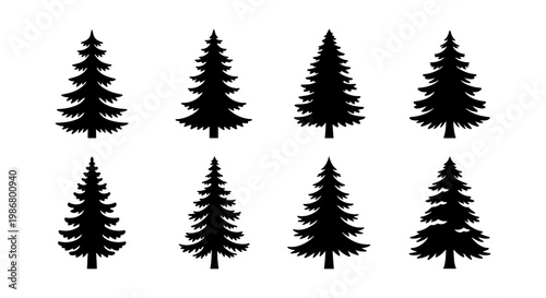 Pine tree silhouette collection, set of 8 evergreen conifer vector icons, black spruce and fir forest elements for winter landscape design