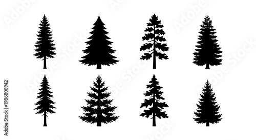 Pine tree silhouette collection, set of 8 evergreen conifer vector icons, black spruce and fir forest elements for outdoor landscape design
