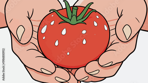 Hands Holding Fresh Red Tomato with Water Drops