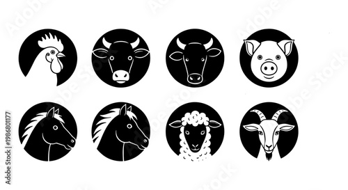 Minimalist farm animal icons set, black and white livestock head silhouettes, 8 vector animal portraits in circles for butchery and agriculture branding