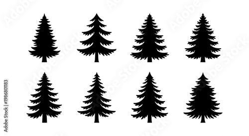 Pine tree silhouette collection, 8 evergreen conifer vector icons, black spruce and fir tree shapes, minimalist forest nature elements for winter design