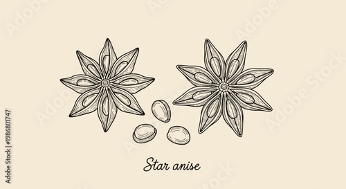 Two star anise spices with several seeds are shown in a detailed vintage engraving style on a warm cream colored background.