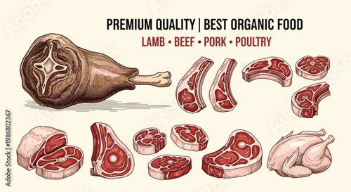 Comprehensive collection of various raw meat cuts including lamb, beef, pork, and poultry shown in a detailed vintage style.