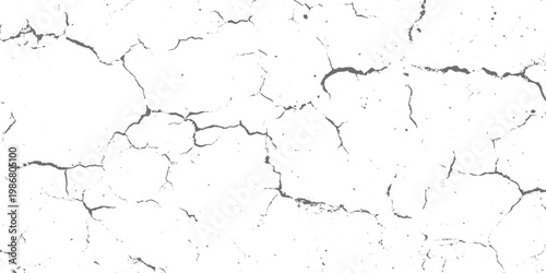 White cracked surface texture, abstract background, fine fracture lines, high contrast, minimalistic style vector illustration.