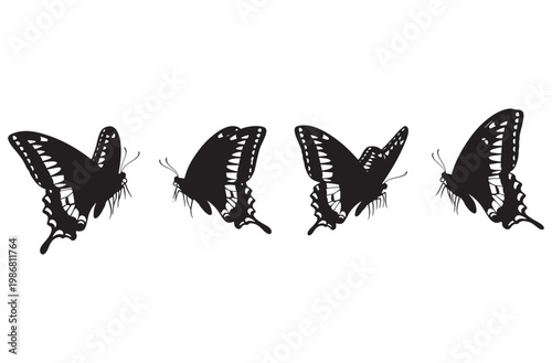 Pack of black butterfly silhouettes in different flight angles for spring nature designs garden insect graphics or decorative sticker elements isolated on transparent background grid