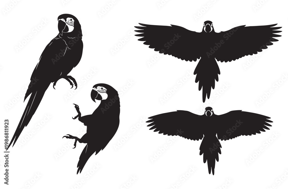 Fototapeta premium Parrot silhouette set featuring macaw birds in flight and perched positions exotic tropical avian species collection isolated on transparent background for creative nature design