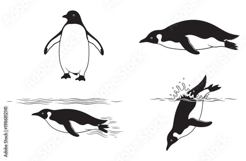 Set of black and white silhouettes of emperor penguins, in various poses, walking, swimming and diving underwater, graphic illustration of birds