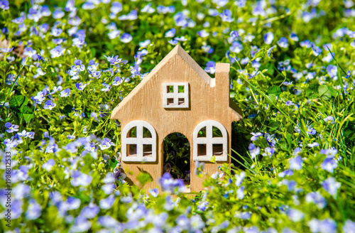 Wallpaper Mural The symbol of the house on the background of blue flowers
 Torontodigital.ca