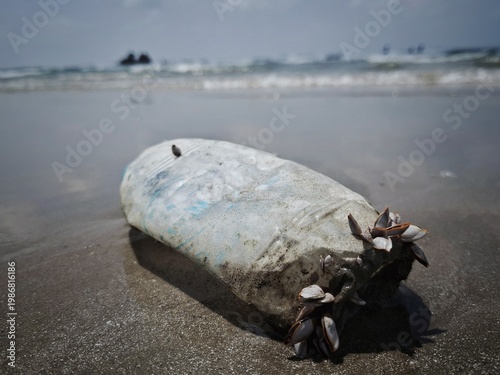 Ocean's Unwanted Guest: A weathered plastic bottle lies stranded on the sandy shore, a stark reminder of environmental pollution and the urgent need for conservation.	