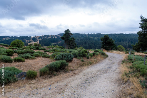GR65 pilgrim trail crossing the Aubrac plateau, yellowed grass and dramatic cloudy sky, France