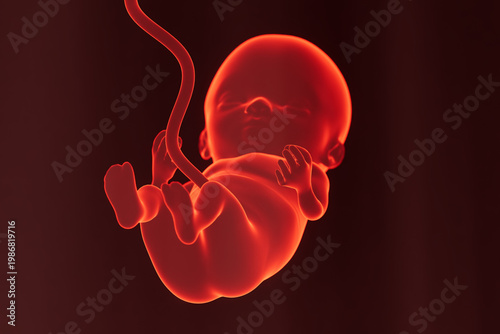Fetus in womb showing development stage during pregnancy with clear visualization of details in a dark setting