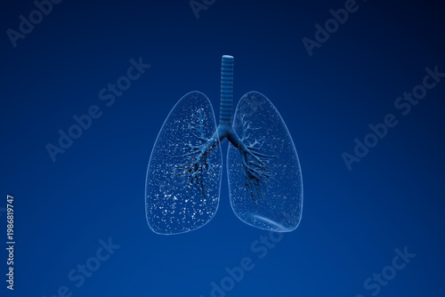 Lungs with detailed structure and blue background showing anatomy and function during breathing